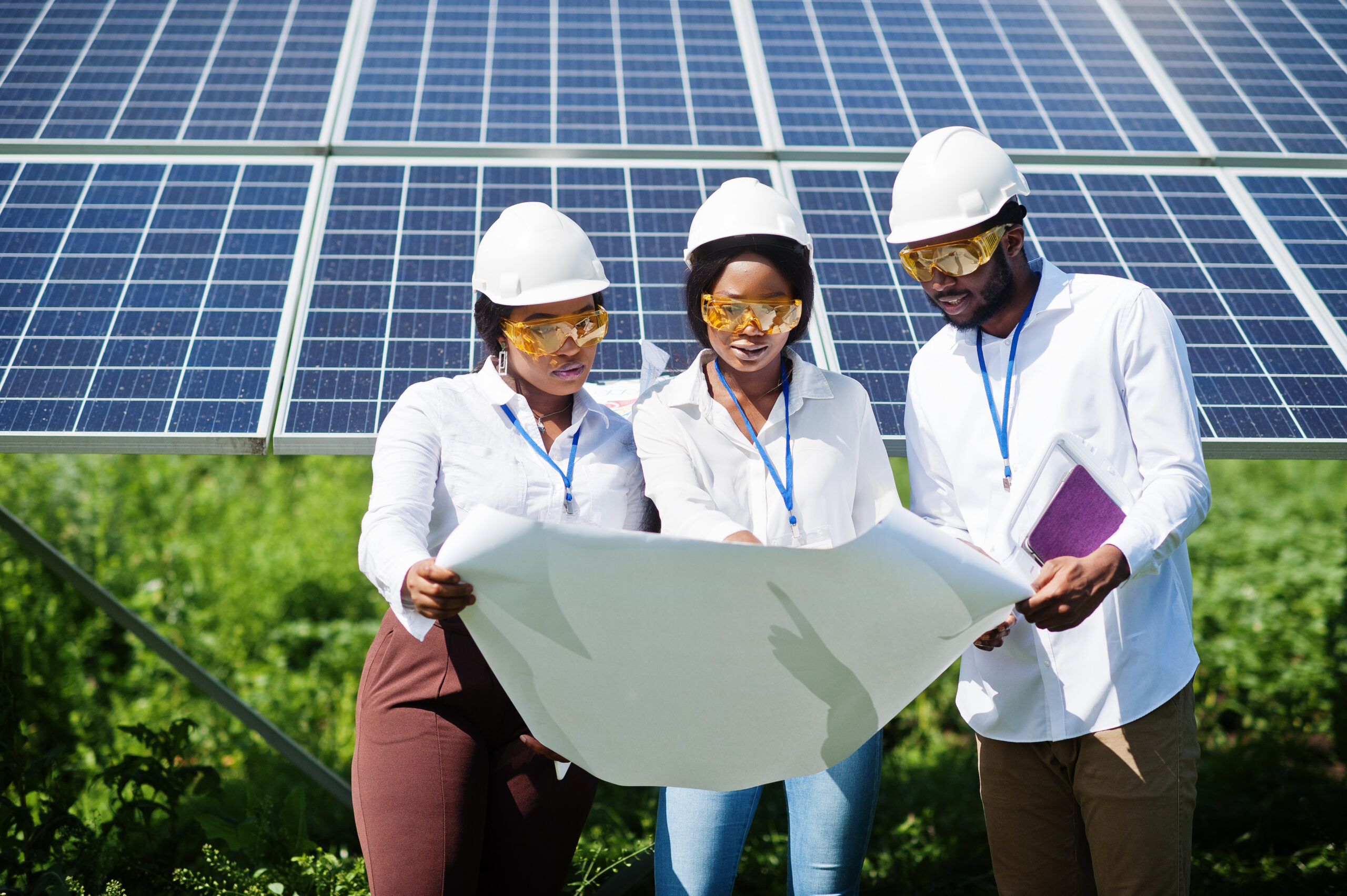 Climate & Carbon - Renewable energy and resilience